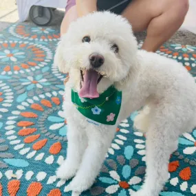 April Showers Bring May Flowers Dog Bandana