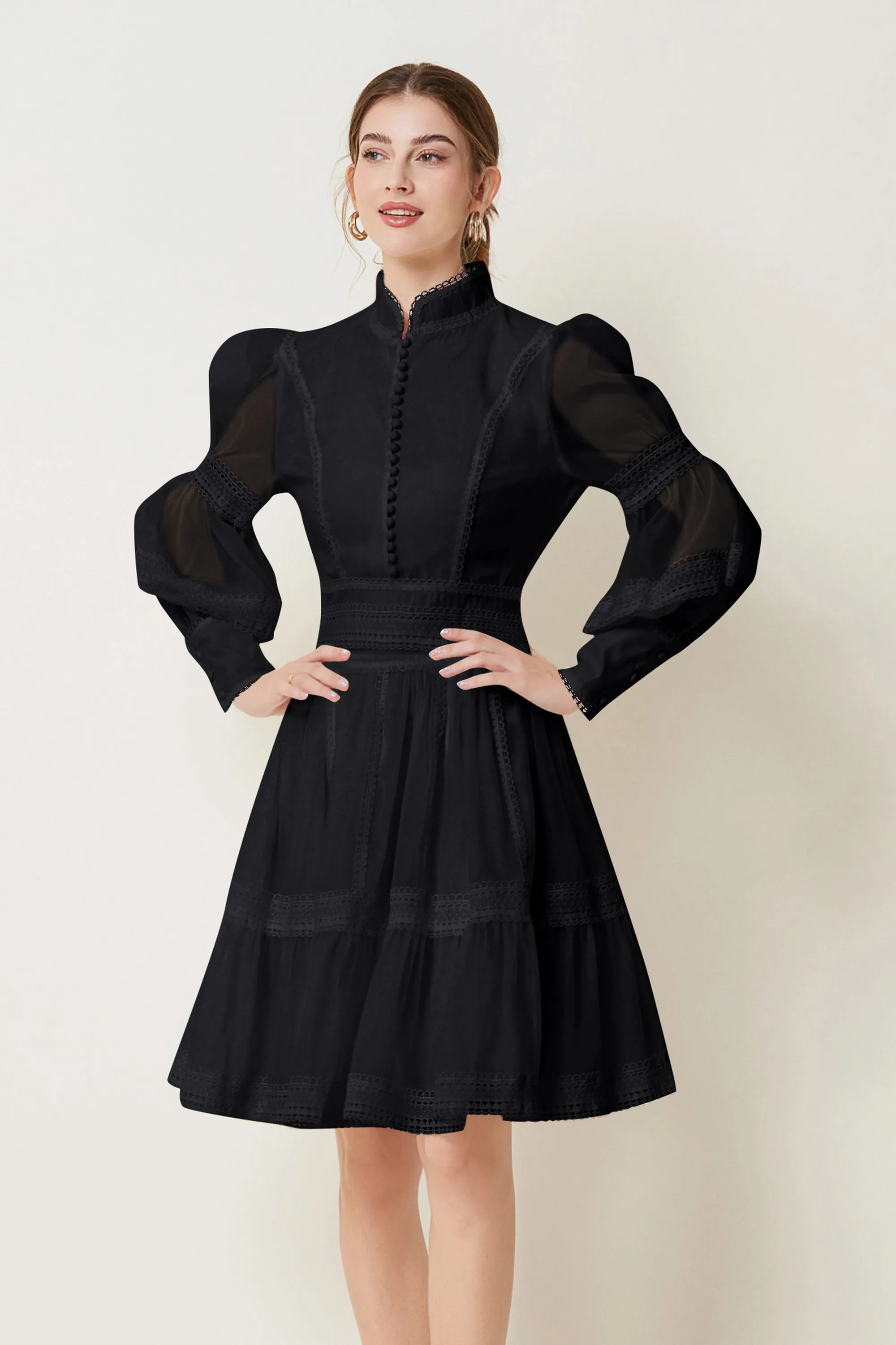 BK-Organza Lace Puff Sleeve Mini Dress