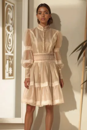 BK-Organza Lace Puff Sleeve Mini Dress
