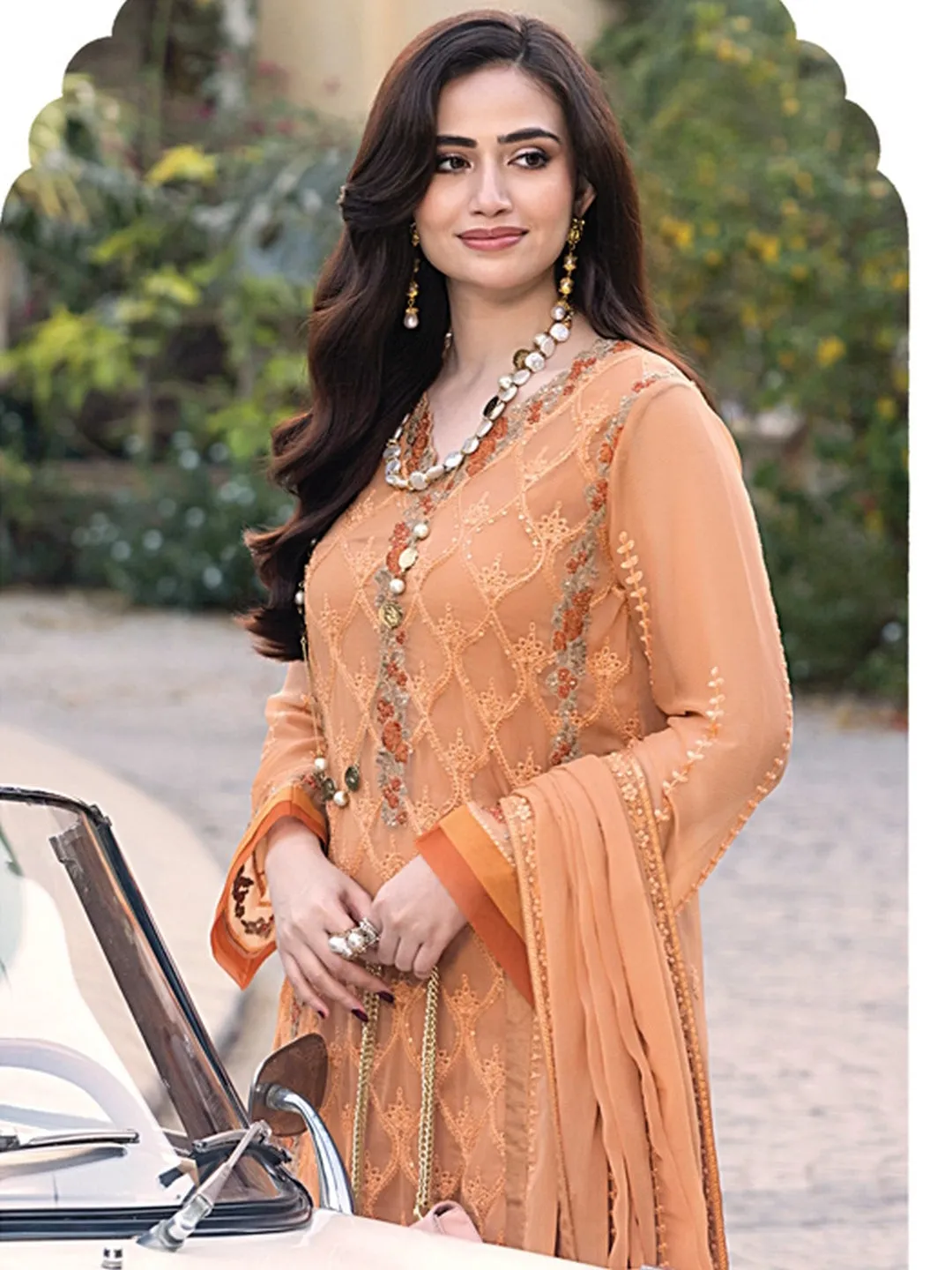Chiffon Embroidery