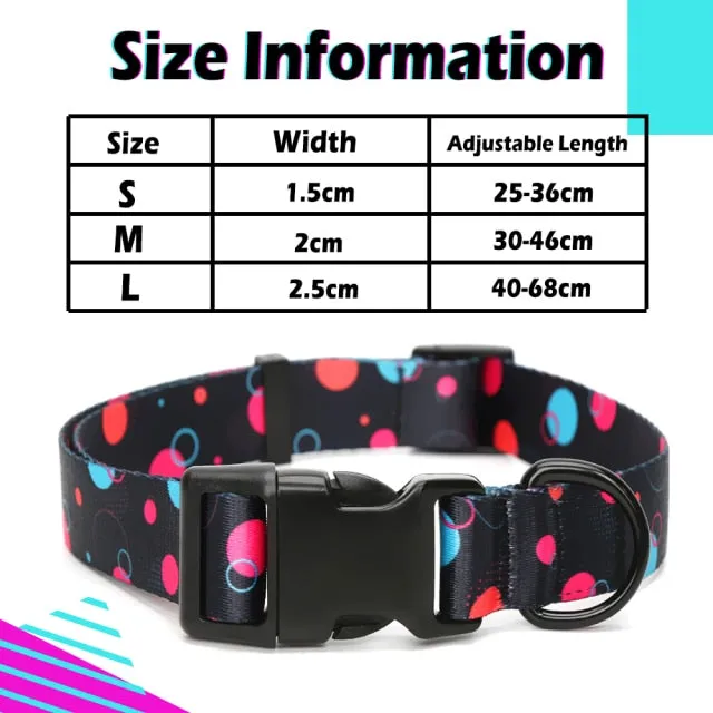 Designer Personalized Dog Collar