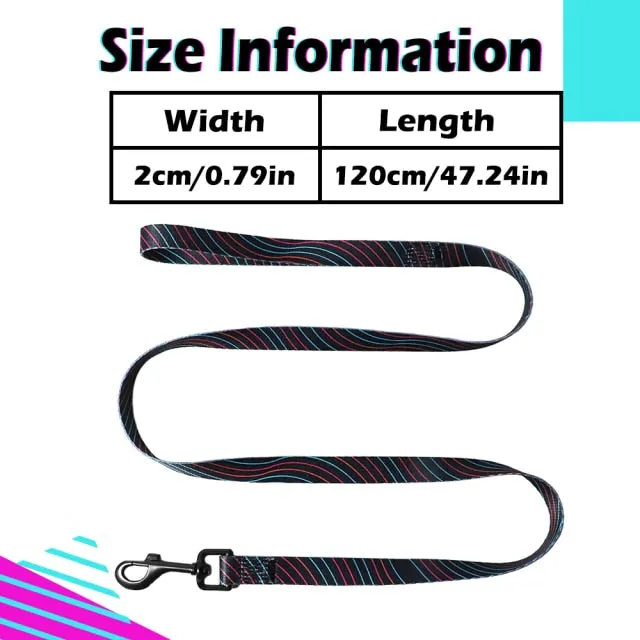 Designer Personalized Dog Collar