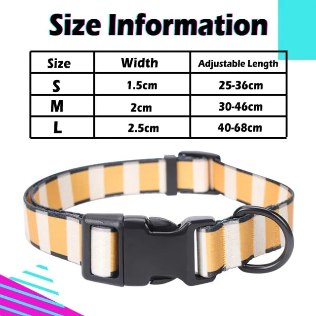 Designer Personalized Dog Collar