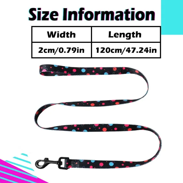 Designer Personalized Dog Collar