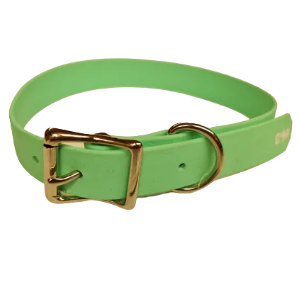 Dog Collar Standard