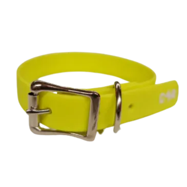 Dog Collar Standard