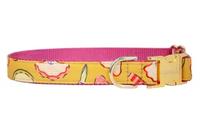 Oyster Roast Dog Collar On Pink
