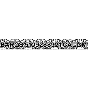 Personalized Damask Dog Collar