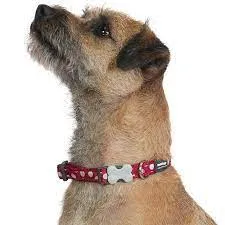 Red Dingo - Purple Unicorn Dog Collar - X Small