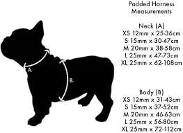 Red Dingo - Purple Unicorn Dog Collar - X Small