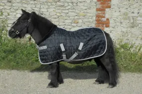 Rhinegold Foal Michigan Stable Quilt