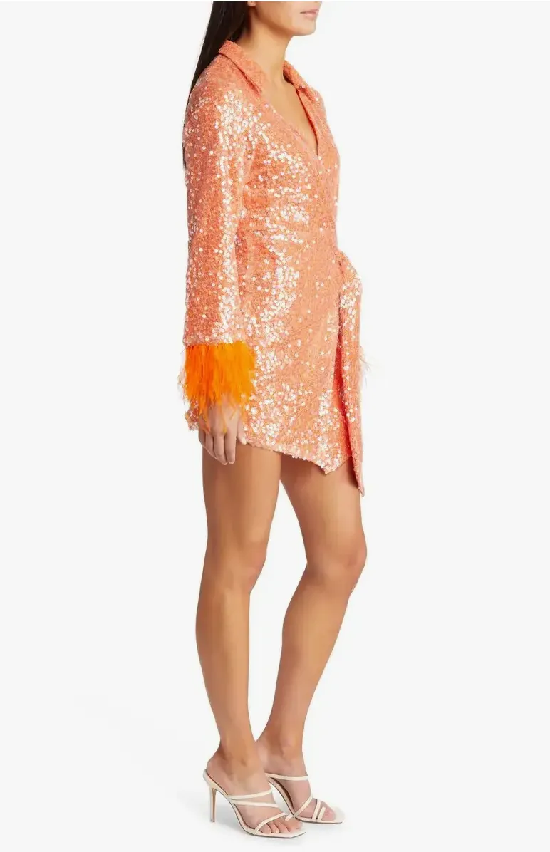 Sequin & Feather Wrap Mini Dress
