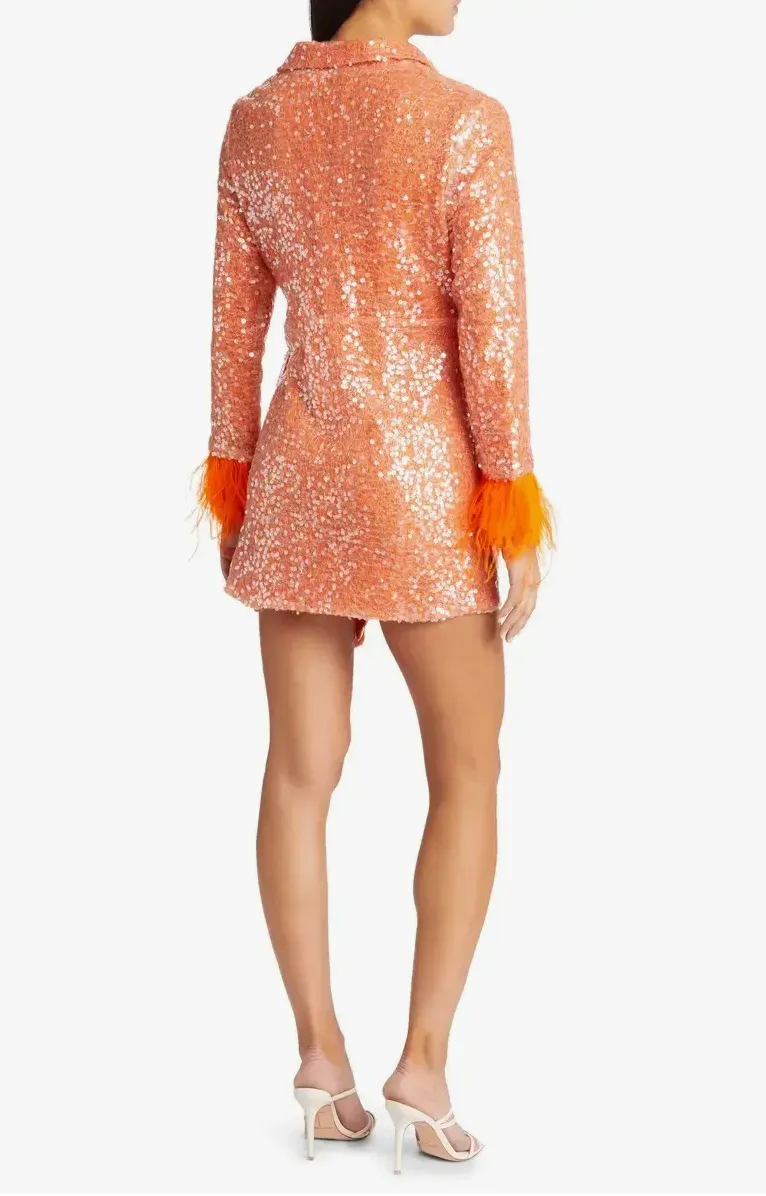 Sequin & Feather Wrap Mini Dress