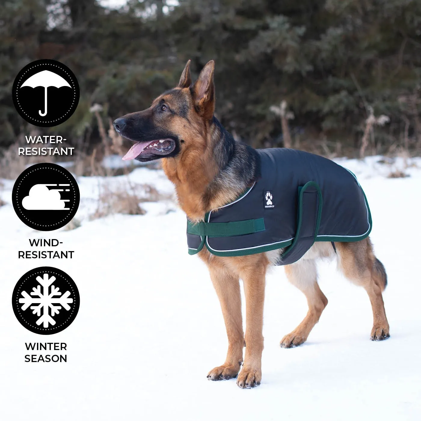 Shedrow K9 Vail Dog Coat Black with Smoke Pine Trim (EXTRA 50% OFF AT CHECKOUT)