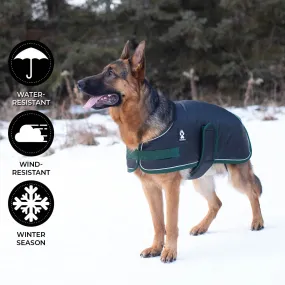 Shedrow K9 Vail Dog Coat Black with Smoke Pine Trim (EXTRA 50% OFF AT CHECKOUT)