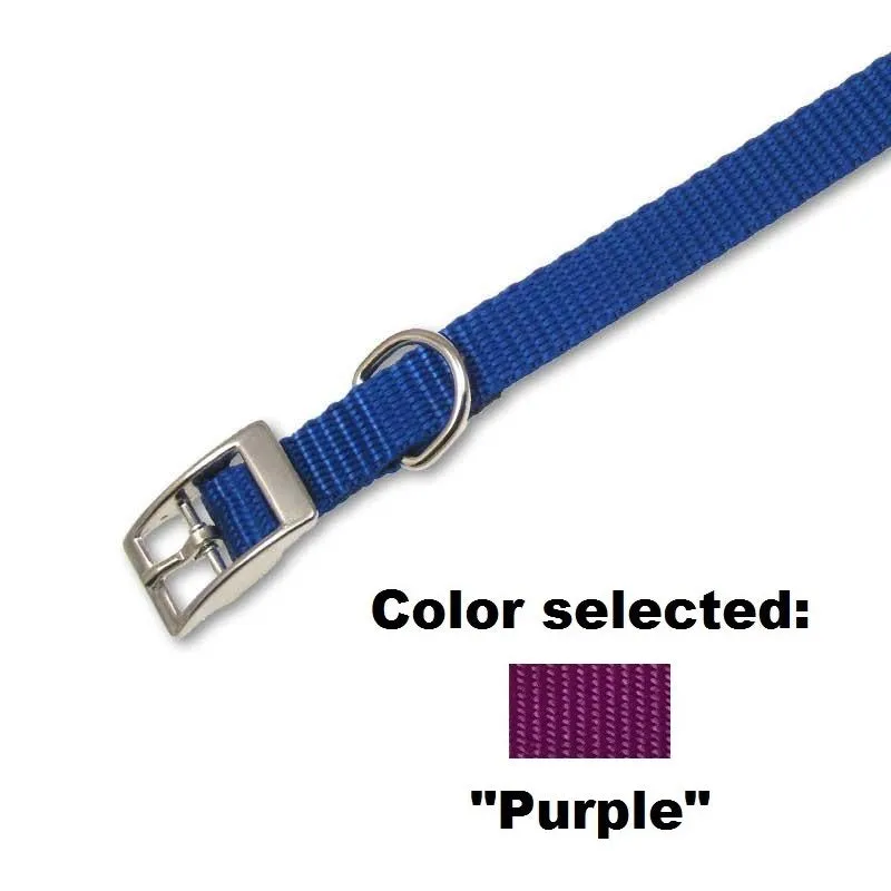 Traditional Collar - 5/8" Width