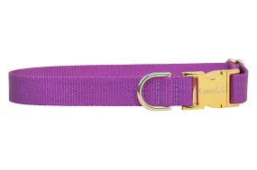 Violet Webbing Collar